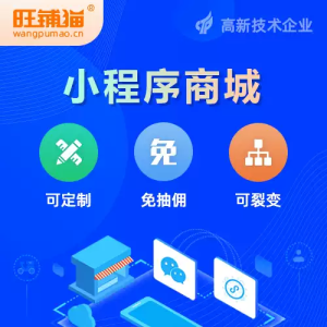 小程序商城开发微信公众号定制网站制作购物系统搭建APP积分平台