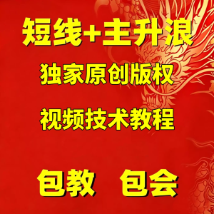 短线主升浪技术视频教程