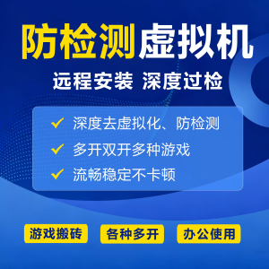 飞悦 新天龙八部怀旧服专用虚拟机双开多开防检测深度去虚拟化