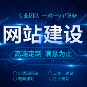网站建设网页设计与制作网站独立站模板一条龙全包搭建网站开发